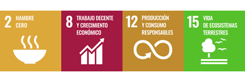 ODS 2. Hambre cero / ODS 8. Trabajo decente y crecimiento económico / ODS 12. Produccción y consumo responsables / ODS 15. Vida de ecosistemas terrestres