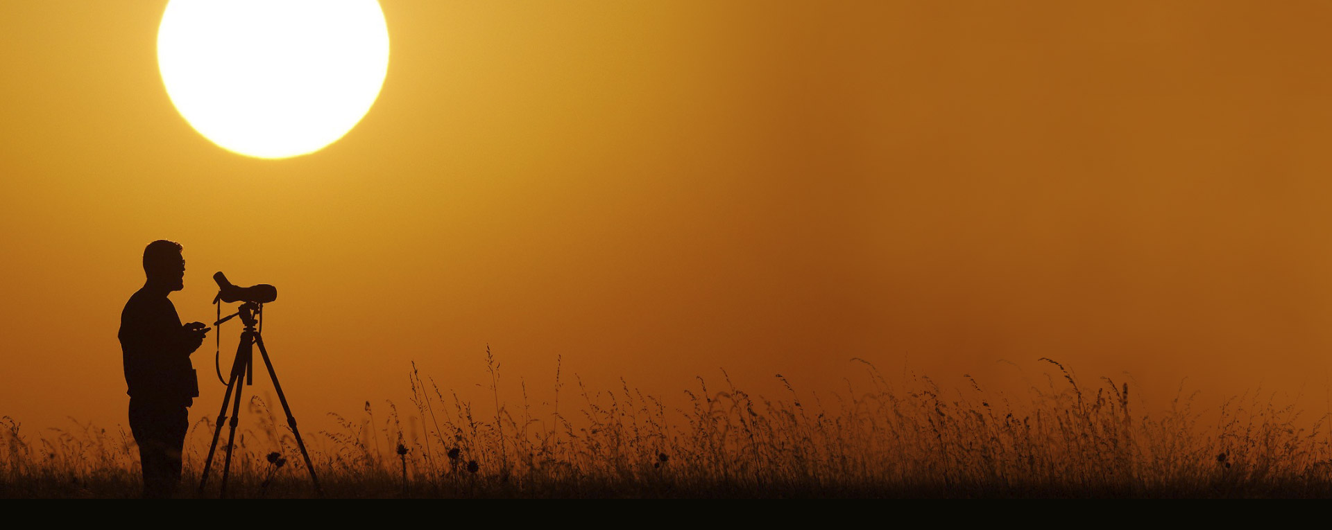 Ecoanímate fondo