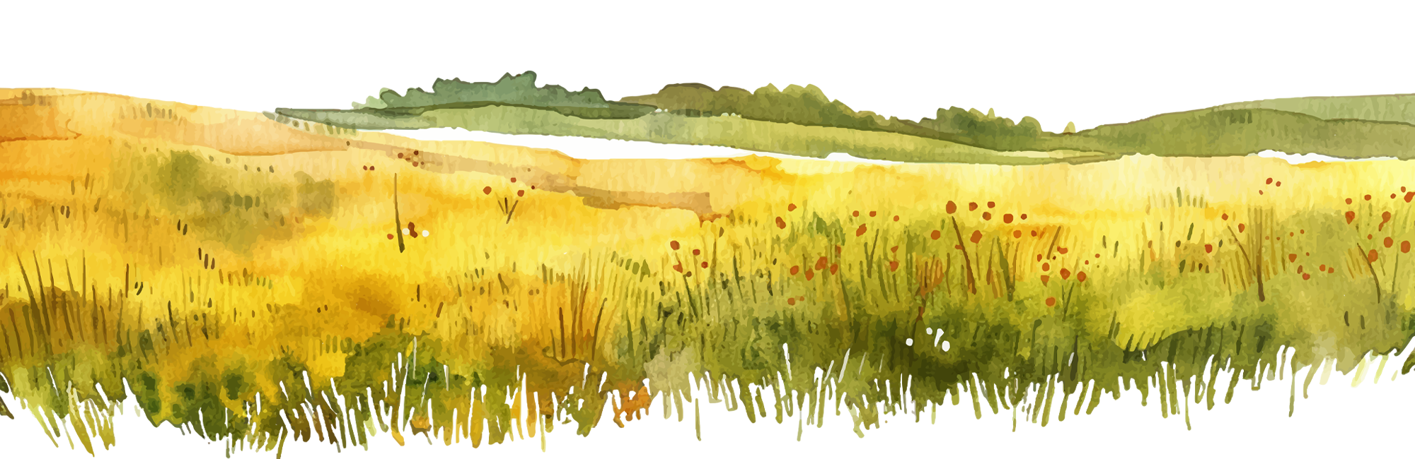 Paisaje fondo