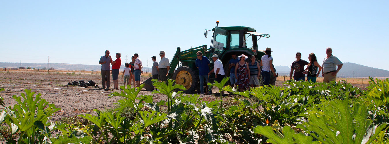 Huerto