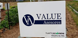 Value Asesores
