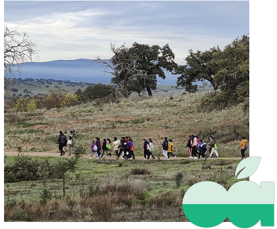 Jornadas de conservación