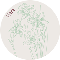 Flora