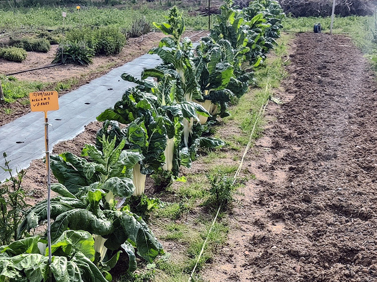Huerta Ecoánime