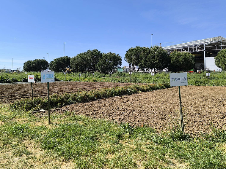 Huerta Ecoánime
