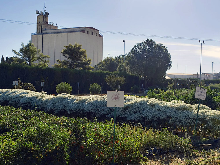Huerta Ecoánime