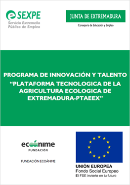 Programa Innovación y Talento