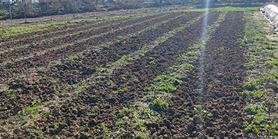 Producción de alimentos ecológicos