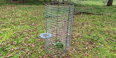 Conservación de Flora