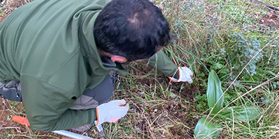 Conservación de Flora